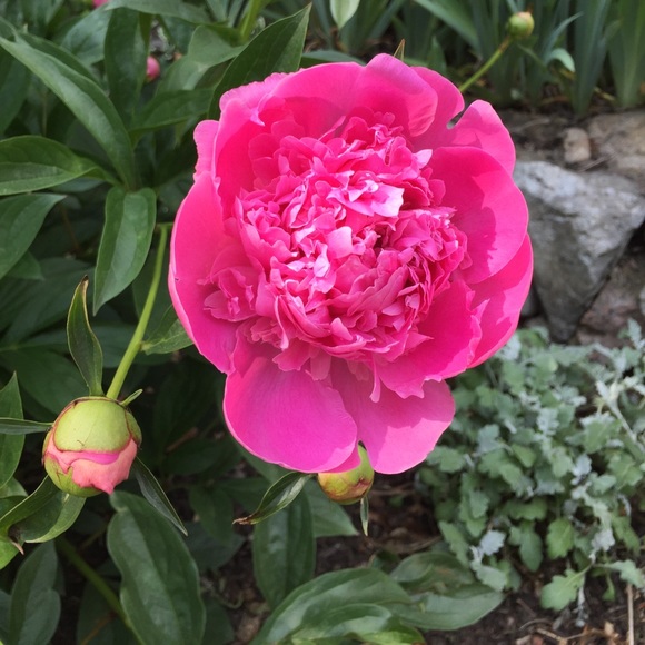 Meet your Posher, Kristen - Picture 1 of 1